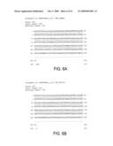 ATRIAL NATRIURETIC PEPTIDE (ANP) SPLICE VARIANTS AND METHODS OF USING SAME diagram and image