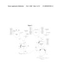 Glycine N-methyltransferase (GNMT) Animal model and use thereof diagram and image