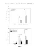 Glycine N-methyltransferase (GNMT) Animal model and use thereof diagram and image