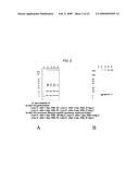 Screening Method, Process for Purifying of Non-Diffusible A-Beta Oligomers, Selective Antibodies Against Said Non-Diffusible a-Beta Oligomers and a Process for Manufacturing of Said Antibodies diagram and image