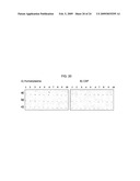 Screening Method, Process for Purifying of Non-Diffusible A-Beta Oligomers, Selective Antibodies Against Said Non-Diffusible a-Beta Oligomers and a Process for Manufacturing of Said Antibodies diagram and image