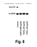 Methods for treating diabetes diagram and image