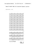 IMMUNOMODULATION OF DENDRITIC CELLS diagram and image