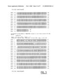 IMMUNOMODULATION OF DENDRITIC CELLS diagram and image