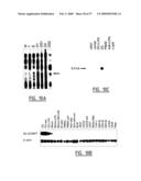 IMMUNOMODULATION OF DENDRITIC CELLS diagram and image