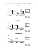 IMMUNOMODULATION OF DENDRITIC CELLS diagram and image