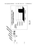 IMMUNOMODULATION OF DENDRITIC CELLS diagram and image