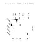 IMMUNOMODULATION OF DENDRITIC CELLS diagram and image