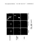 IMMUNOMODULATION OF DENDRITIC CELLS diagram and image