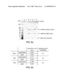 Abeta CONFORMER SELECTIVE ANTI-Abeta GLOBULOMER MONOCLONAL ANTIBODIES diagram and image