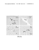 Abeta CONFORMER SELECTIVE ANTI-Abeta GLOBULOMER MONOCLONAL ANTIBODIES diagram and image