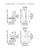 Abeta CONFORMER SELECTIVE ANTI-Abeta GLOBULOMER MONOCLONAL ANTIBODIES diagram and image