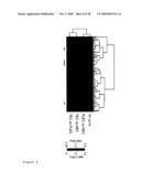 TUMOR ANGIOGENESIS ASSOCIATED GENES AND A METHOD FOR THEIR IDENTIFICATION diagram and image