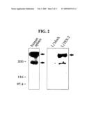 Method and pharmaceutical composition for preventing or treating diseases associated with inflammation diagram and image