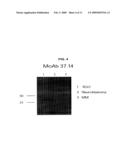 Monoclonal Antibodies and Cell Surface Antigens for the Detection and Treatment of Small Cell Lung Cancer (SCLC) diagram and image