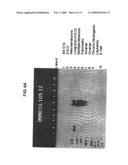 Monoclonal Antibodies and Cell Surface Antigens for the Detection and Treatment of Small Cell Lung Cancer (SCLC) diagram and image