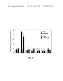 METHOD AND COMPOSITION FOR INCREASING THE ENGRAFTMENT EFFICIENCY OF STEM CELLS diagram and image