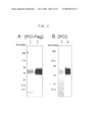 Agents for Regulating Liver Regeneration/Repair diagram and image