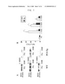 Agents for Regulating Liver Regeneration/Repair diagram and image