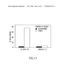 Intercellular adhesion molecules and their binding ligands diagram and image