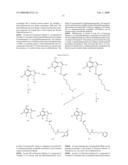 IMMUNE RESPONSE MODIFIER CONJUGATES diagram and image