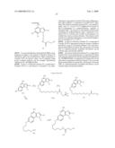 IMMUNE RESPONSE MODIFIER CONJUGATES diagram and image