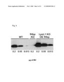 fHbp- AND LPXL1-BASED VESICLE VACCINES FOR BROAD SPECTRUM PROTECTION AGAINST DISEASES CAUSED BY NEISSERIA MENINGITIDIS diagram and image