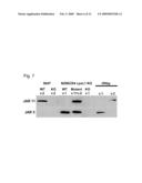 fHbp- AND LPXL1-BASED VESICLE VACCINES FOR BROAD SPECTRUM PROTECTION AGAINST DISEASES CAUSED BY NEISSERIA MENINGITIDIS diagram and image