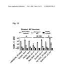 fHbp- AND LPXL1-BASED VESICLE VACCINES FOR BROAD SPECTRUM PROTECTION AGAINST DISEASES CAUSED BY NEISSERIA MENINGITIDIS diagram and image