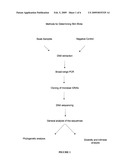 DIAGNOSTIC AND TREATMENT METHODS FOR CHARACTERIZING BACTERIAL MICROBIOTA IN SKIN CONDITIONS diagram and image