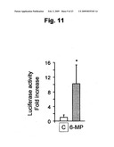 Nuclear Receptors Agonists for Treatment of Atherosclerosis and/or Related Cardiovascular Disease diagram and image