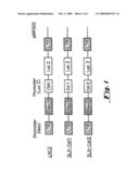 ISOLATED STROMAL CELLS AND METHODS OF USING THE SAME diagram and image