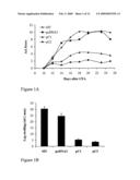 IMMUNOGENIC FRAGMENTS OF T-CELL RECEPTOR CONSTANT DOMAINS AND PEPTIDES DERIVED THEREFROM diagram and image