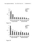 IMMUNOGENIC FRAGMENTS OF T-CELL RECEPTOR CONSTANT DOMAINS AND PEPTIDES DERIVED THEREFROM diagram and image