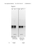 LYOPHILISED ANTIGEN COMPOSITION diagram and image