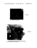 NANOSTRUCTURED BIOACTIVE MATERIALS PREPARED BY DUAL NOZZLE SPRAY DRYING TECHNIQUES diagram and image