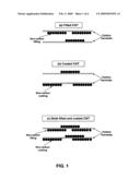 ELECTRICALLY CONDUCTIVE TRANSPARENT COATINGS COMPRISING ORGANIZED ASSEMBLIES OF CARBON AND NON-CARBON COMPOUNDS diagram and image