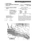 ELECTRICAL CONDUCTIVE COMPOSITE MATERIAL AND PRODUCTION METHOD THEREOF diagram and image