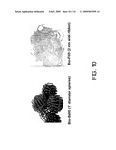 HIGH EFFICIENCY BIOCONVERSION SURFACE MATERIALS diagram and image