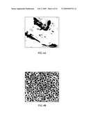 Hydroxyapatite coated nanostructured titanium surfaces diagram and image