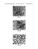 Hydroxyapatite coated nanostructured titanium surfaces diagram and image