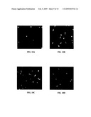 Hydroxyapatite coated nanostructured titanium surfaces diagram and image