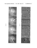 Site-Specific Dosing of Cellular Cultures diagram and image