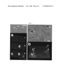 Site-Specific Dosing of Cellular Cultures diagram and image