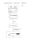 Single Molecule Detection Using Molecular Motors diagram and image