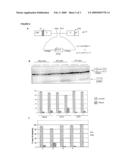 METHODS AND COMPOSITIONS FOR CORRELATING GENETIC MARKERS WITH MULTIPLE SCLEROSIS diagram and image