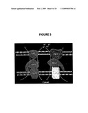 NPC1L1 AND NPC1L1 INHIBITORS AND METHODS OF USE THEREOF diagram and image