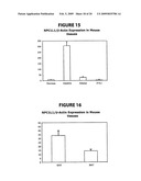 NPC1L1 AND NPC1L1 INHIBITORS AND METHODS OF USE THEREOF diagram and image