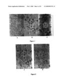 Neural Colony Forming Assay diagram and image