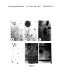 Neural Colony Forming Assay diagram and image